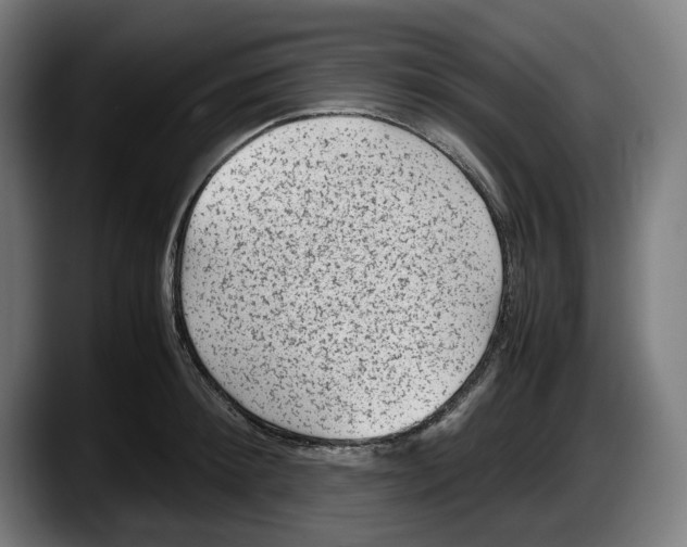 X0000087580900200705251839