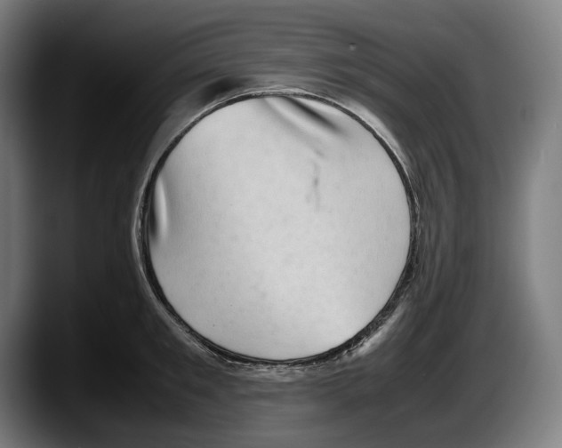 X0000087580901200705251839