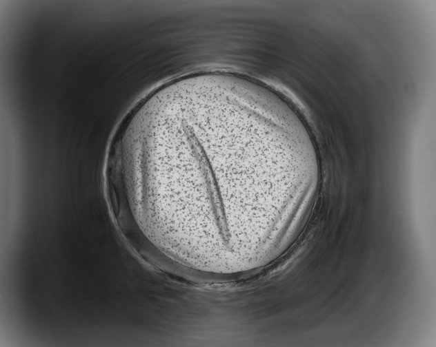 X0000087580902200705251839