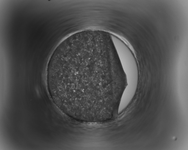 X0000087580903200705251839