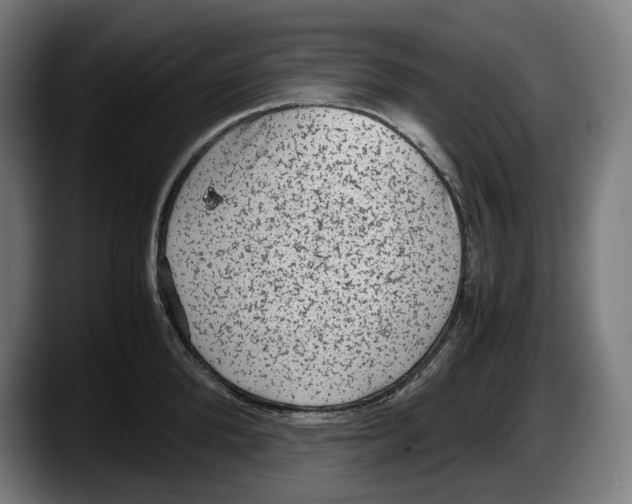 X0000087580904200705251839