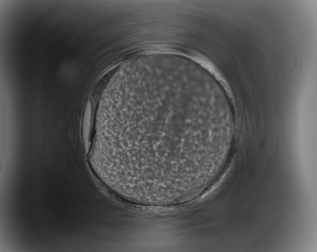 X0000087580905200705251839