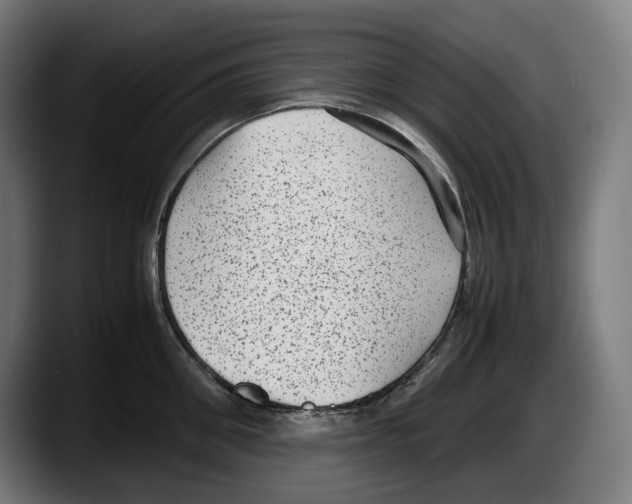 X0000087580906200705251839