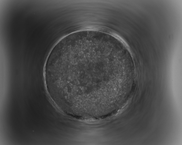 X0000087580907200705251839