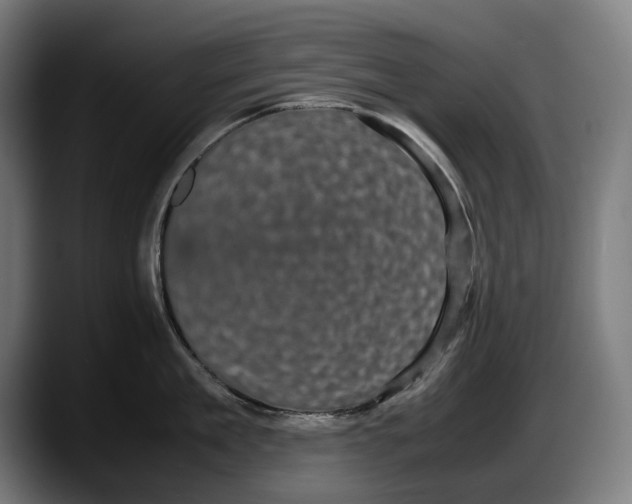 X0000087580909200705251839