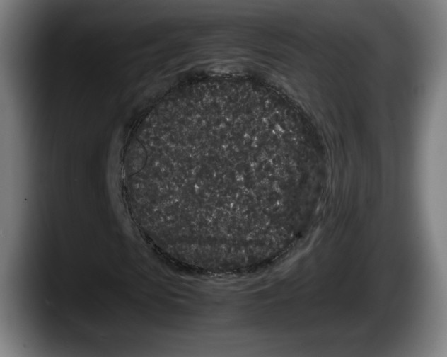 X0000087580913200705251838