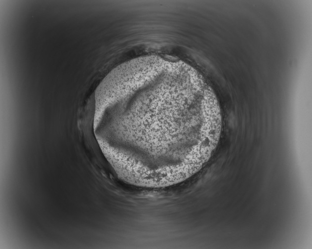 X0000087580914200705251838