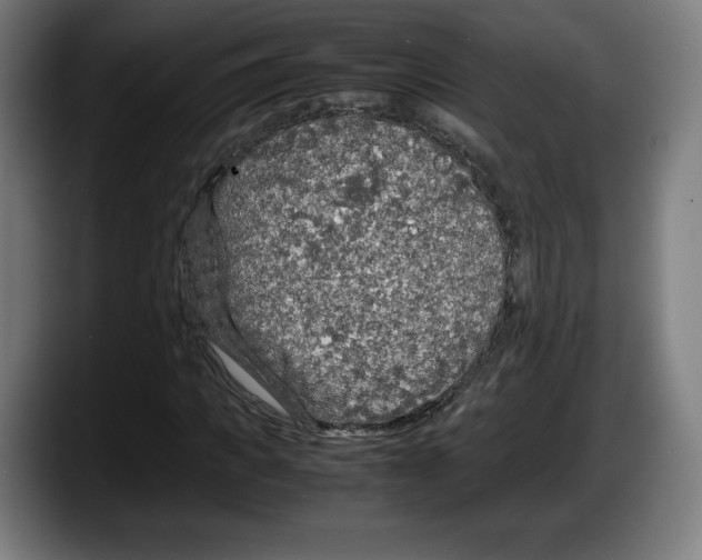 X0000087580917200705251838
