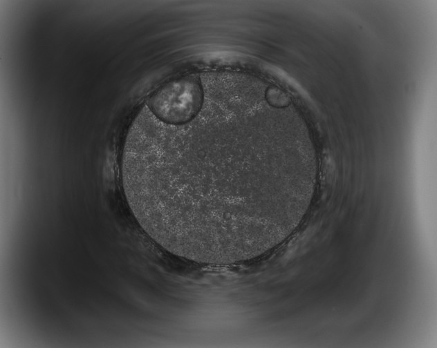 X0000087580918200705251838