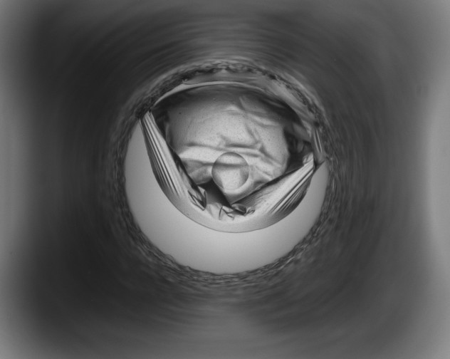 X0000087580920200705251838