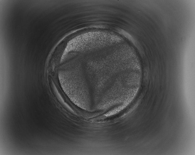 X0000087580923200705251838