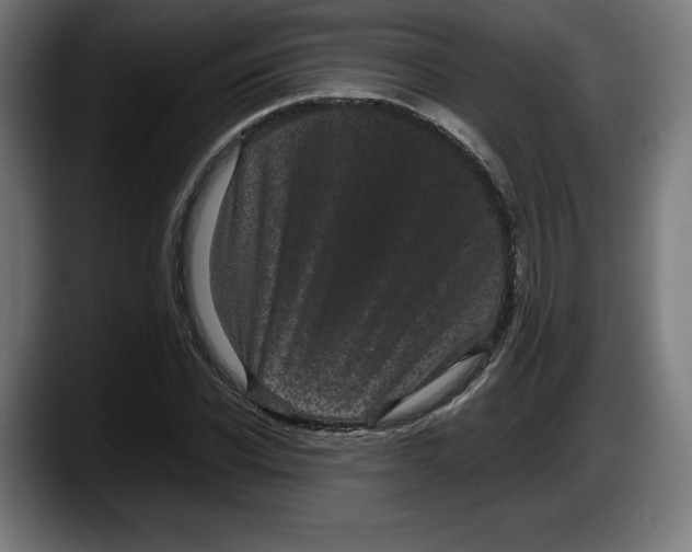 X0000087580926200705251838
