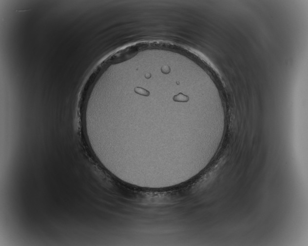 X0000087580927200705251838