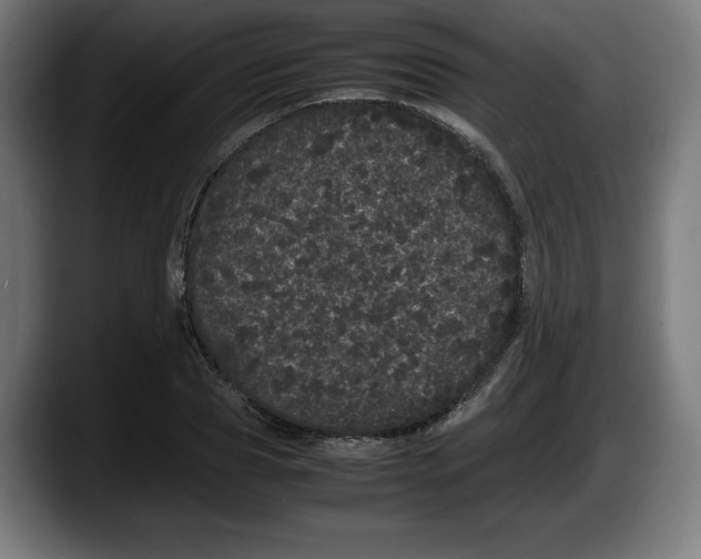 X0000087580929200705251838