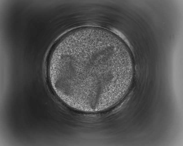 X0000087580931200705251838