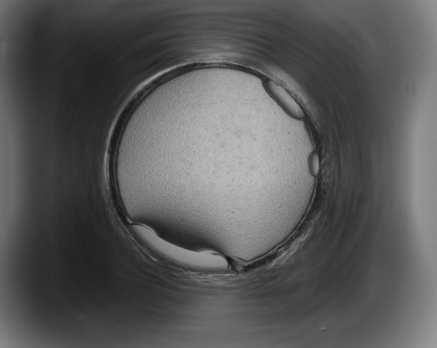 X0000087580932200705251838