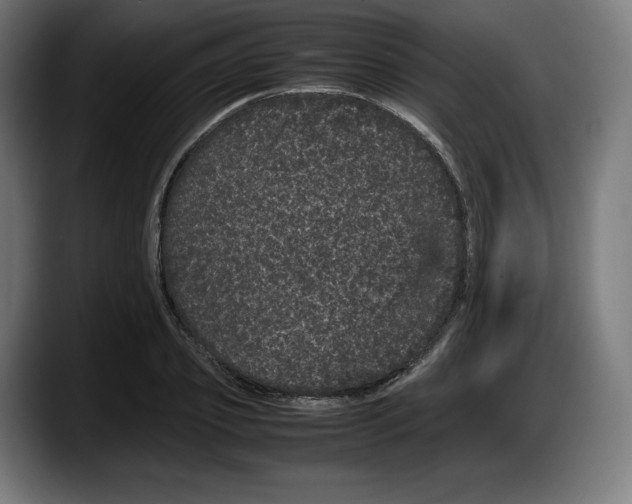 X0000087580933200705251838