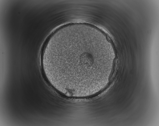 X0000087580934200705251838
