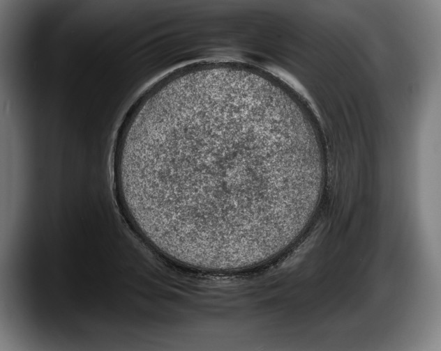 X0000087580935200705251838