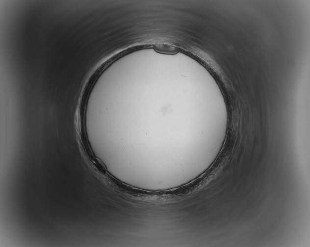 X0000087580936200705251838