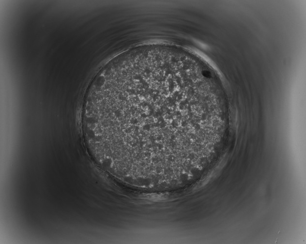 X0000087580937200705251838