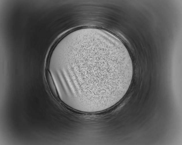X0000087580940200705251838