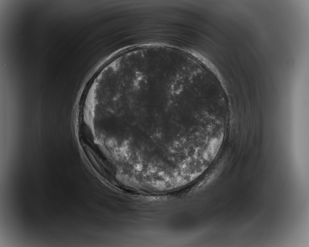 X0000087580941200705251838