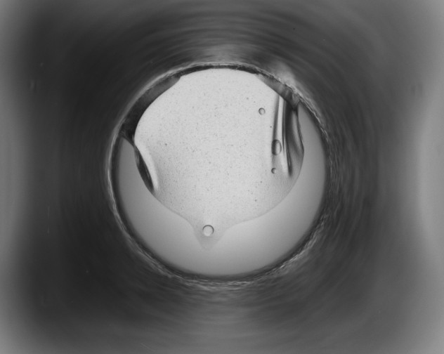 X0000087580942200705251838