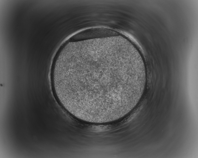 X0000087580943200705251838