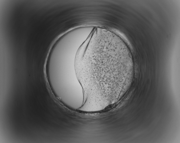X0000087580944200705251838