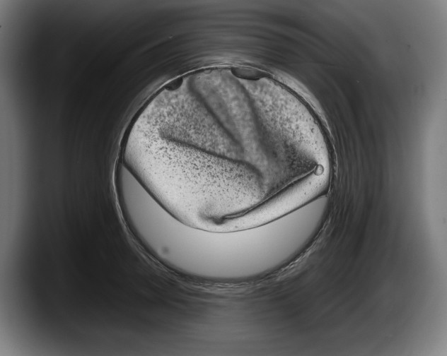 X0000087580946200705251838