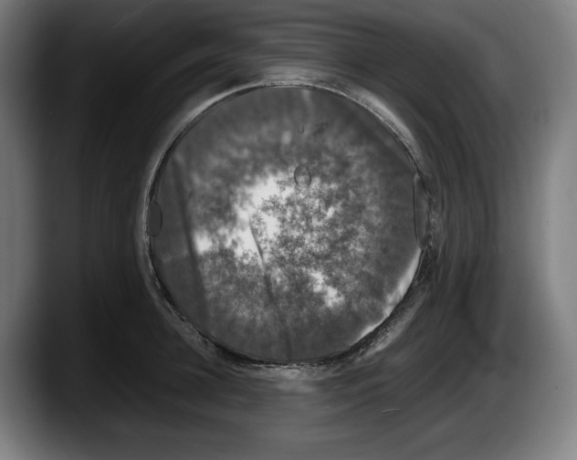 X0000087580948200705251838