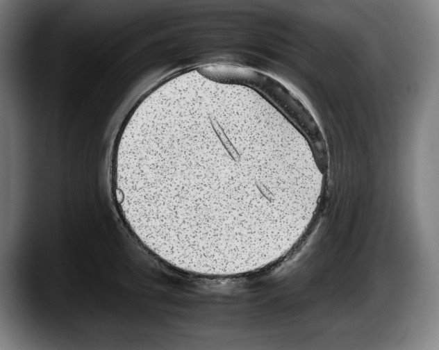 X0000087580949200705251838