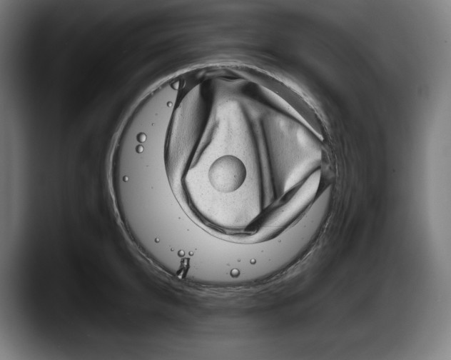 X0000087580950200705251838