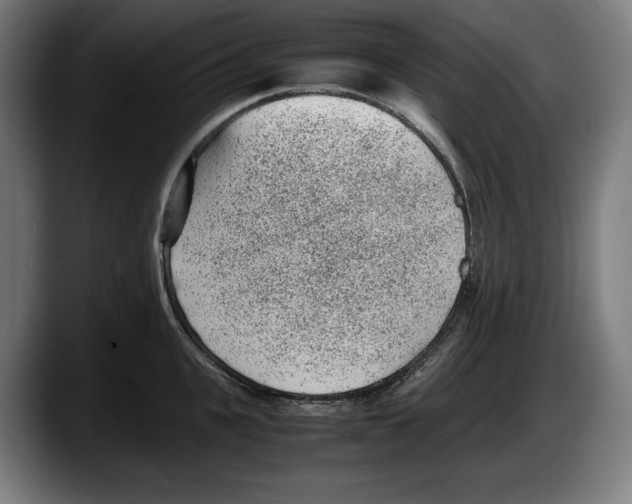 X0000087580951200705251838