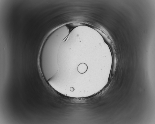 X0000087580952200705251838