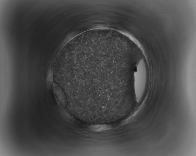 X0000087580953200705251838