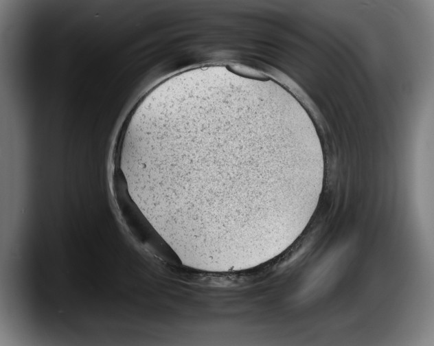 X0000087580955200705251838