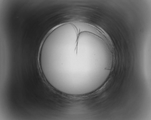 X0000087580956200705251838