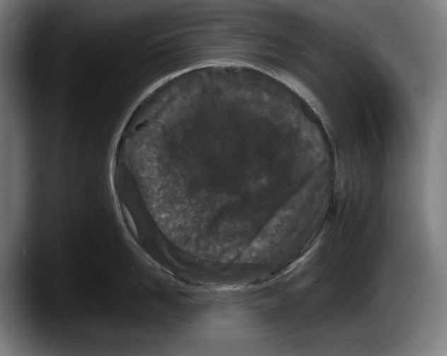 X0000087580958200705251838