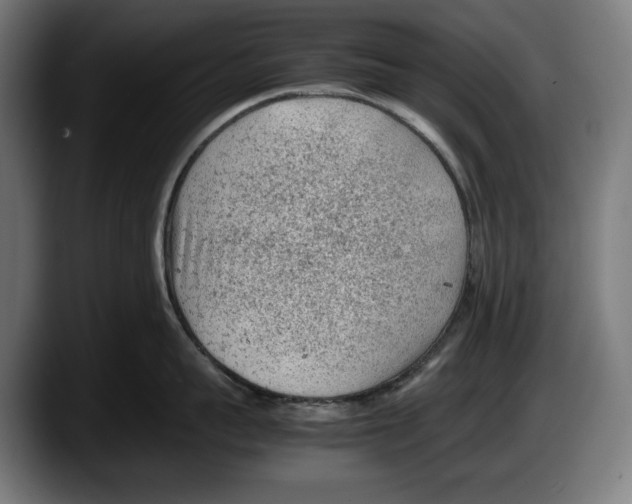 X0000087580959200705251838