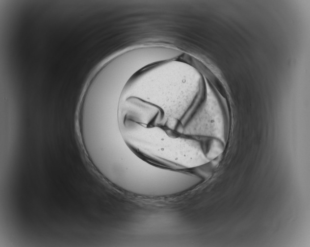 X0000087580960200705251838