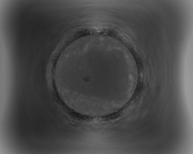 X0000087580961200705251838