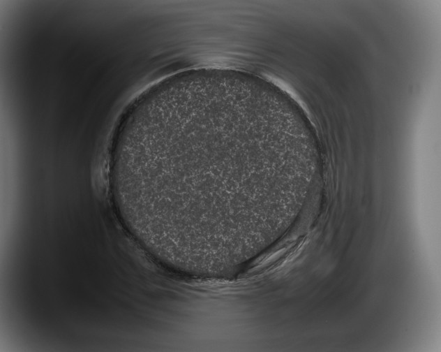 X0000087580971200705251838