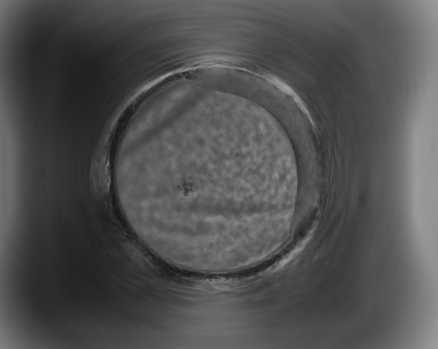 X0000087580973200705251838
