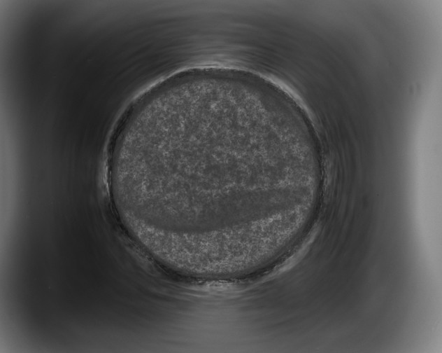 X0000087580974200705251838
