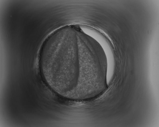 X0000087580975200705251838