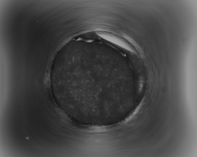 X0000087580977200705251838