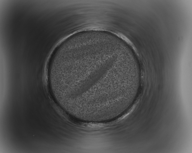 X0000087580981200705251838