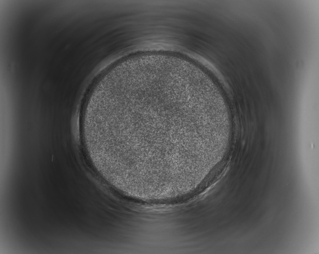 X0000087580982200705251838